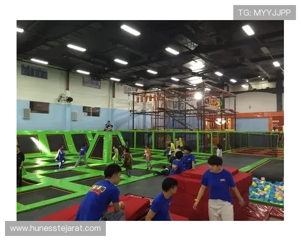 使用ag电投厅手机版快速登录，开启你的智能娱乐投注新时代