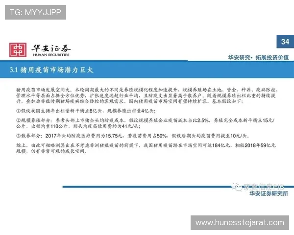 K8体育真人平台的安全性分析，保障玩家资金和个人信息的多重措施